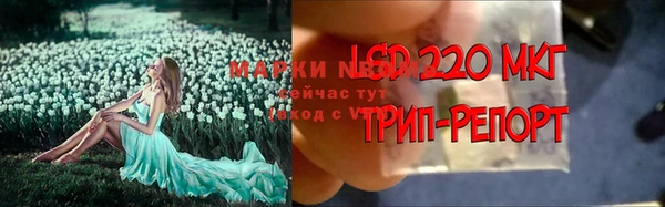 гашик Володарск