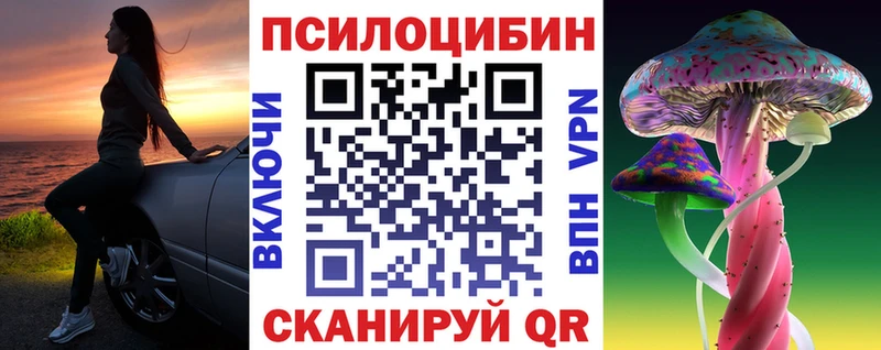 Псилоцибиновые грибы Cubensis продажа наркотиков Инсар